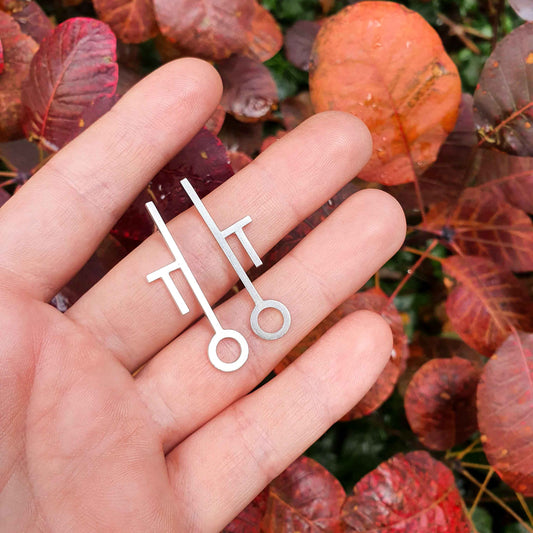 Earrings : Linear 1